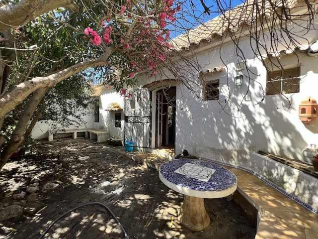Casa Del Mar En Primera Linea De Playa El Palmar Cádiz Kültér fotó
